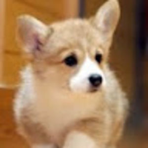 Meet your Posher, Clare